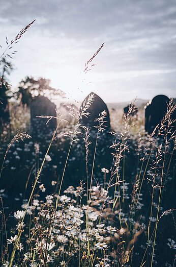 Drei Grabsteine im strahlenden Sonnenschein