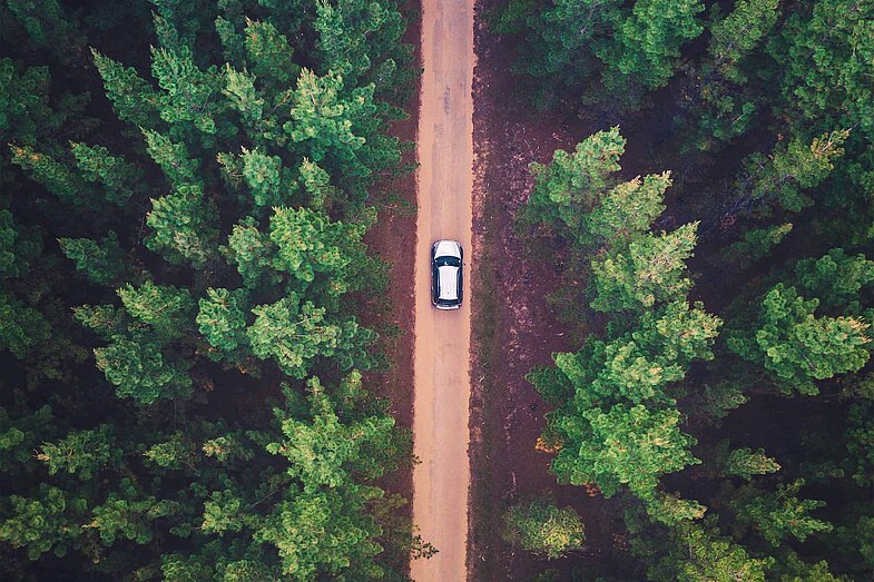 Vogelperspektive auf ein einsam durch den Wald fahrendes Auto