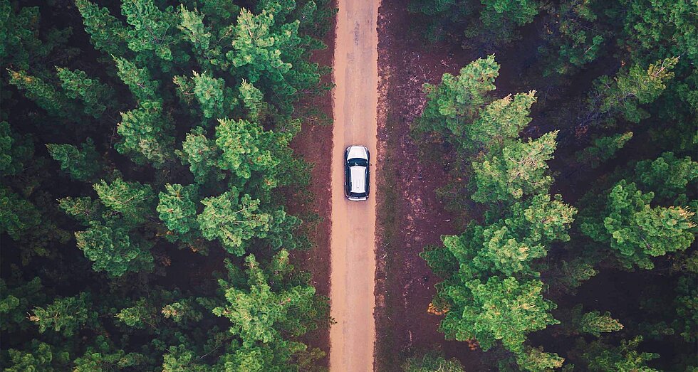 Vogelperspektive auf ein einsam durch den Wald fahrendes Auto
