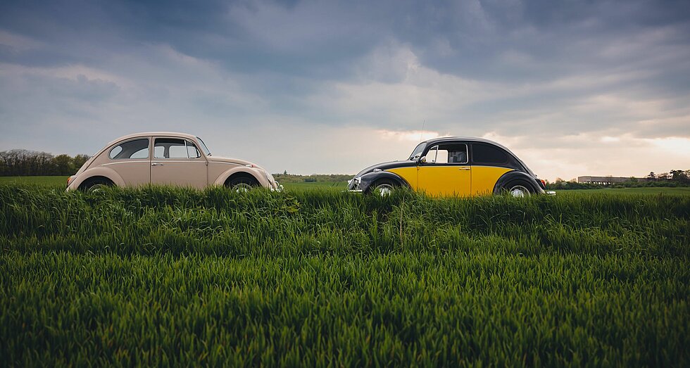 Zwei sich gegenüberstehende VW Käfer in der Natur