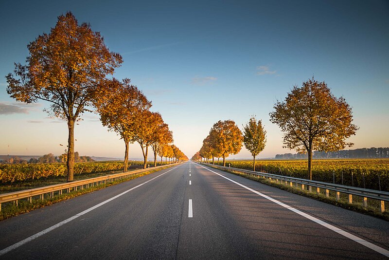 Entfernungspauschale Lange gerade Straße in herbstlicher Kulisse
